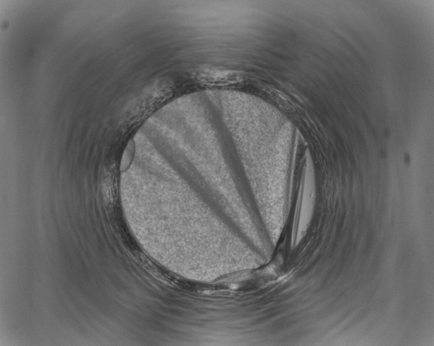 X0000061150515200512161559