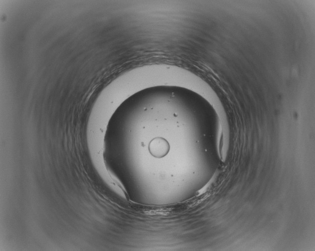 X0000061150516200512161559