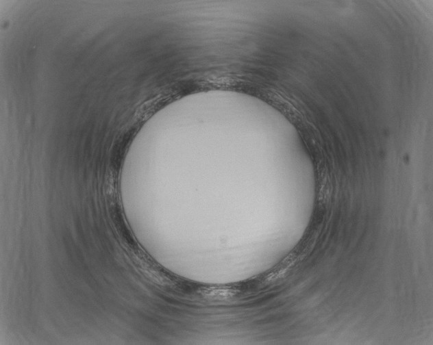 X0000061150518200512161558