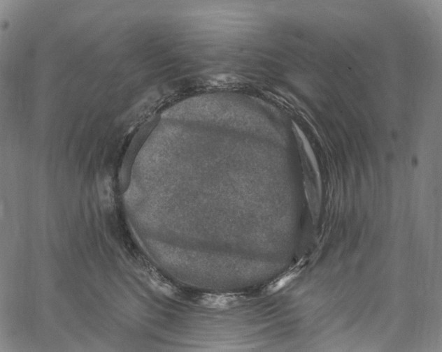 X0000061150520200512161558