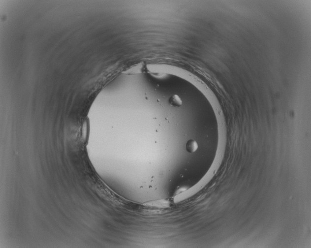 X0000061150521200512161558