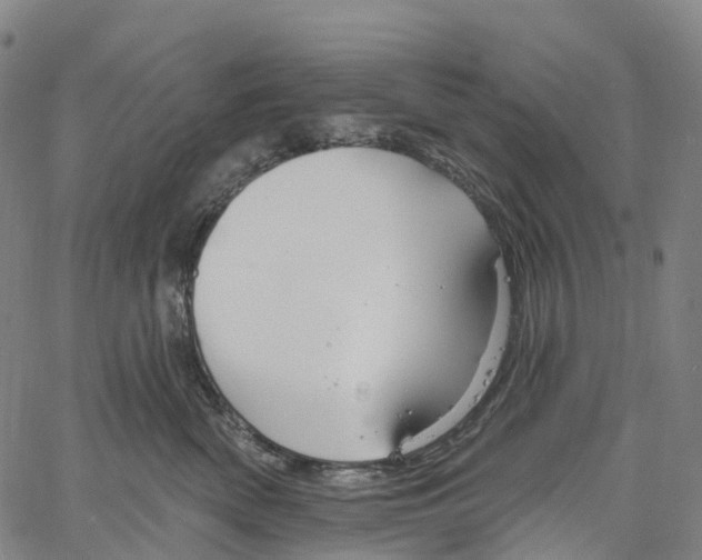 X0000061150522200512161558