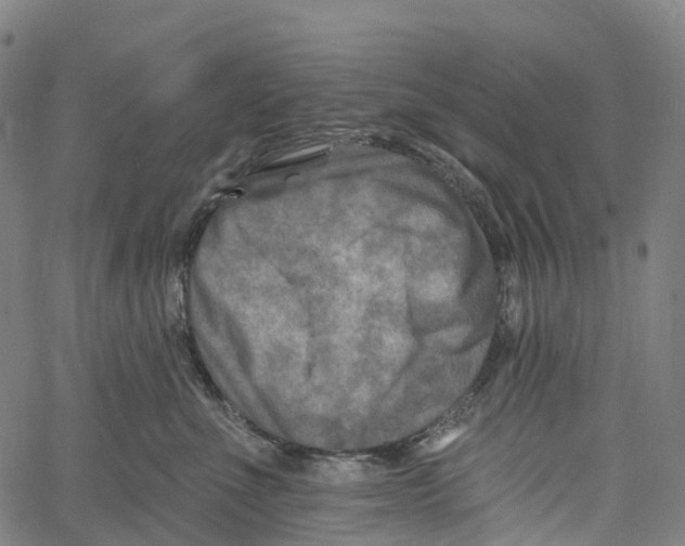 X0000061150523200512161558