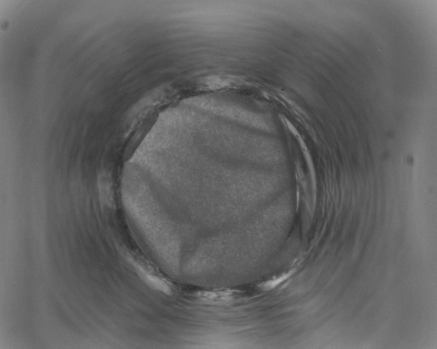 X0000061150524200512161558