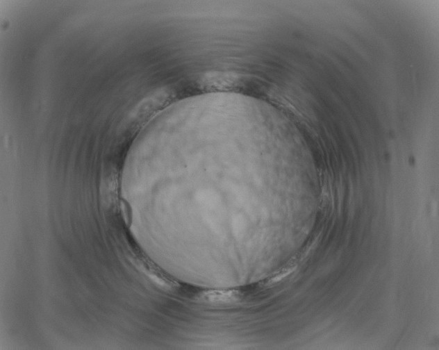 X0000061150526200512161558