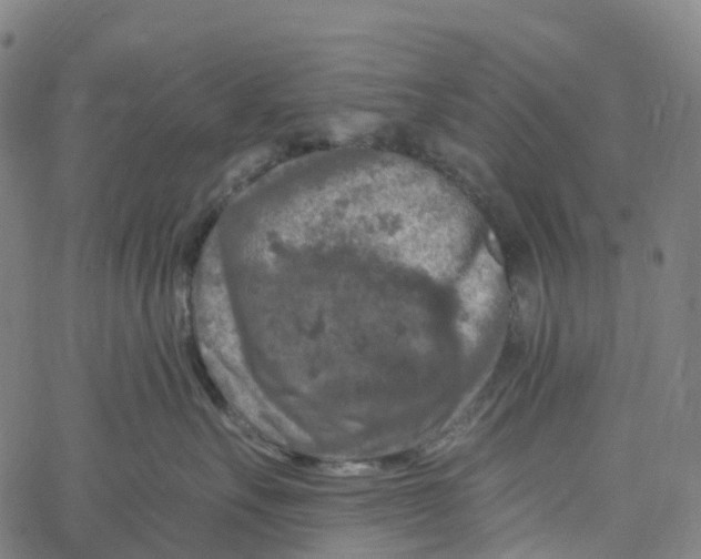 X0000061150527200512161558