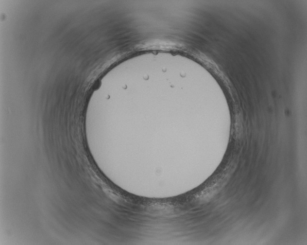 X0000061150529200512161558