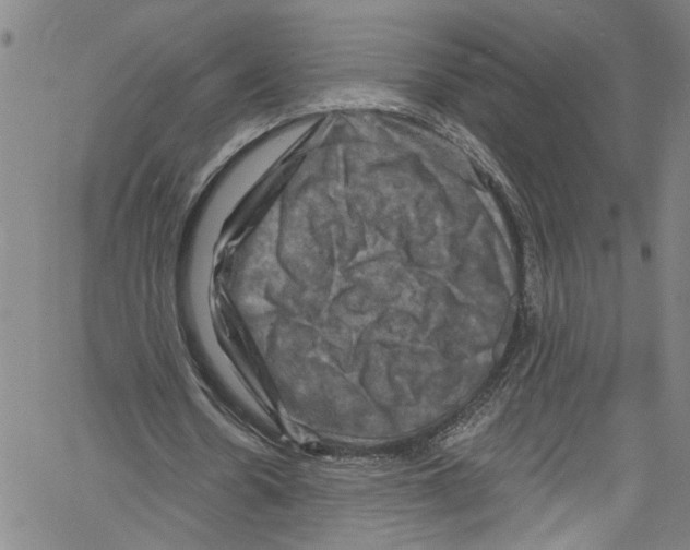 X0000061150530200512161558