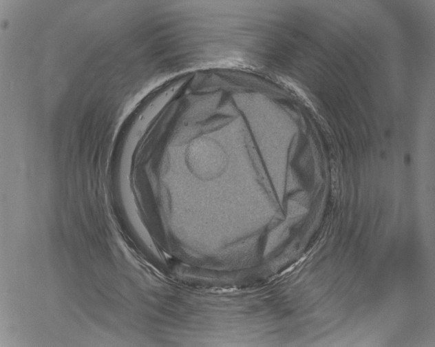 X0000061150532200512161558