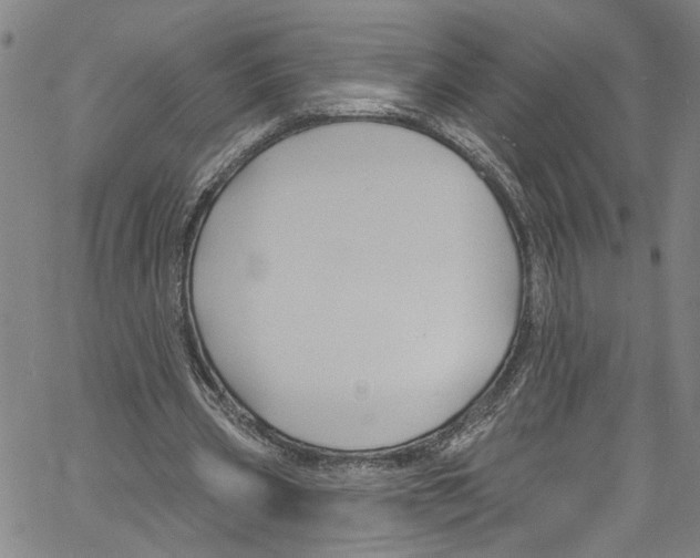 X0000061150533200512161558