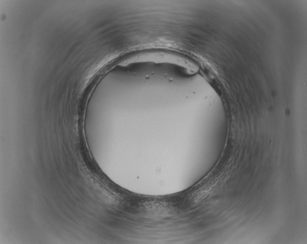 X0000061150535200512161558