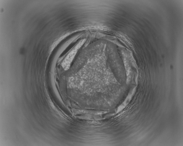 X0000061150536200512161558