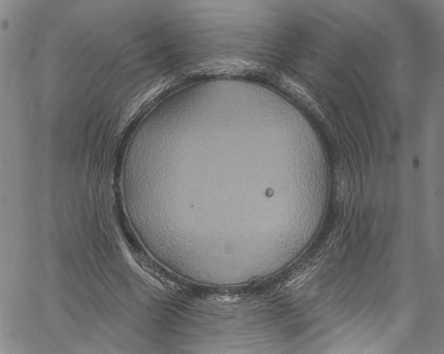 X0000061150538200512161558