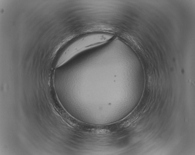 X0000061150539200512161558