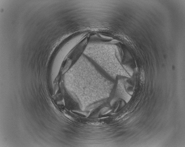 X0000061150540200512161558