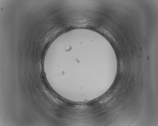 X0000061150541200512161558