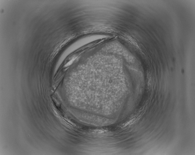 X0000061150542200512161558