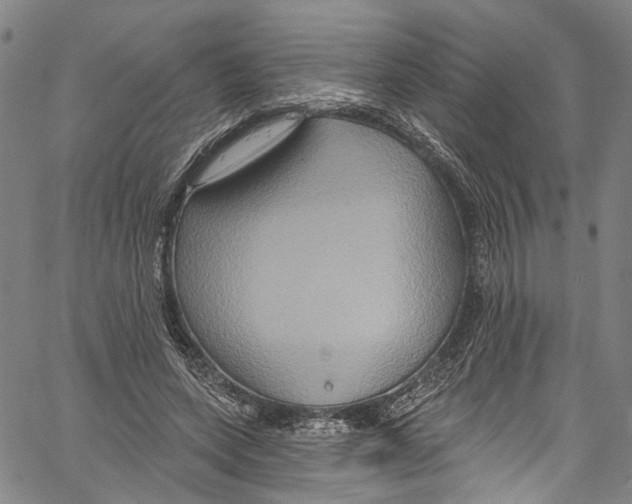 X0000061150543200512161558