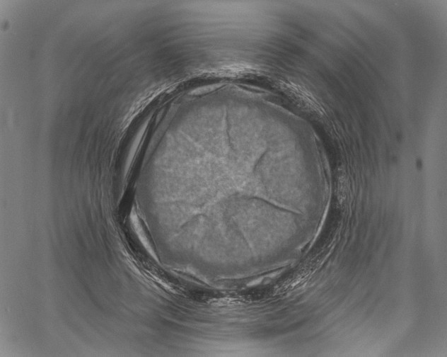 X0000061150544200512161558