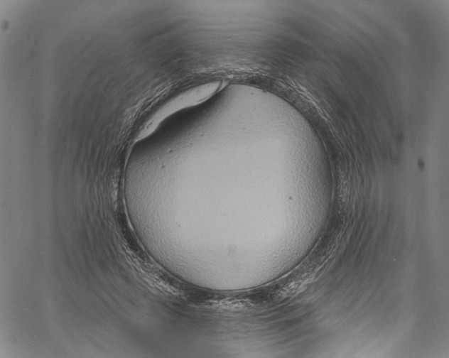 X0000061150545200512161558