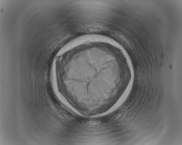 X0000061150546200512161558