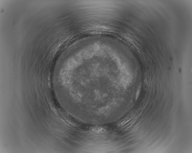 X0000061150547200512161558