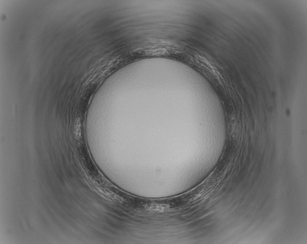 X0000061150549200512161558