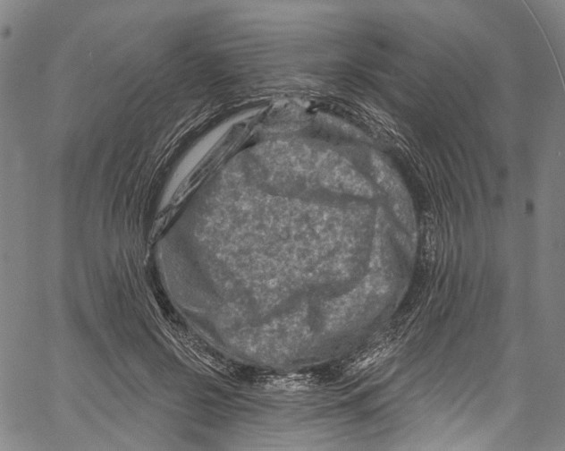 X0000061150550200512161558