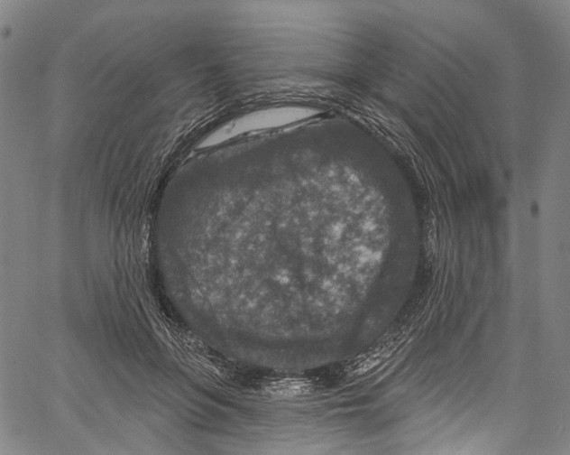 X0000061150551200512161558