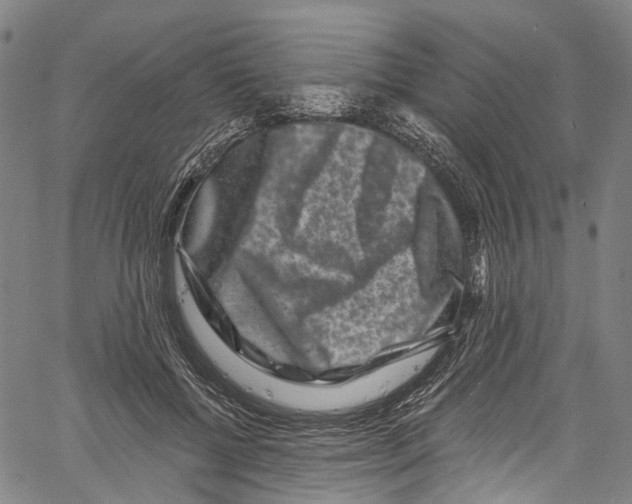 X0000061150552200512161558