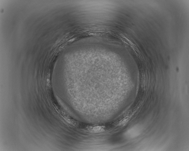 X0000061150553200512161558