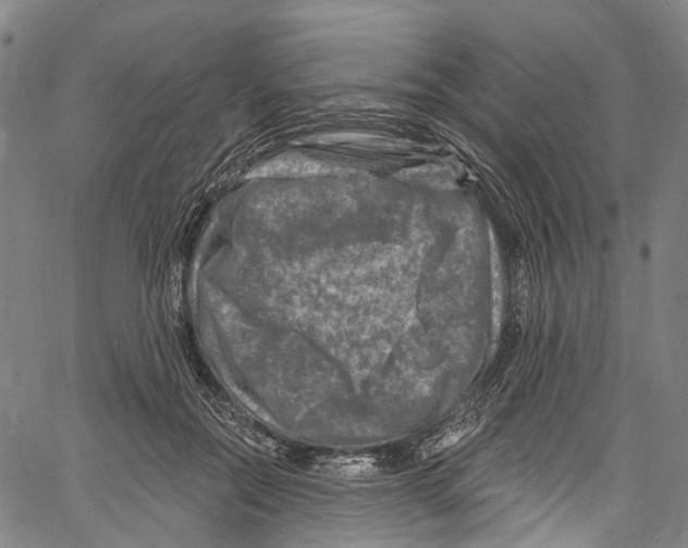 X0000061150554200512161558