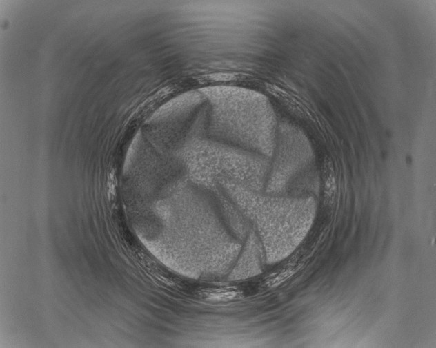 X0000061150555200512161558