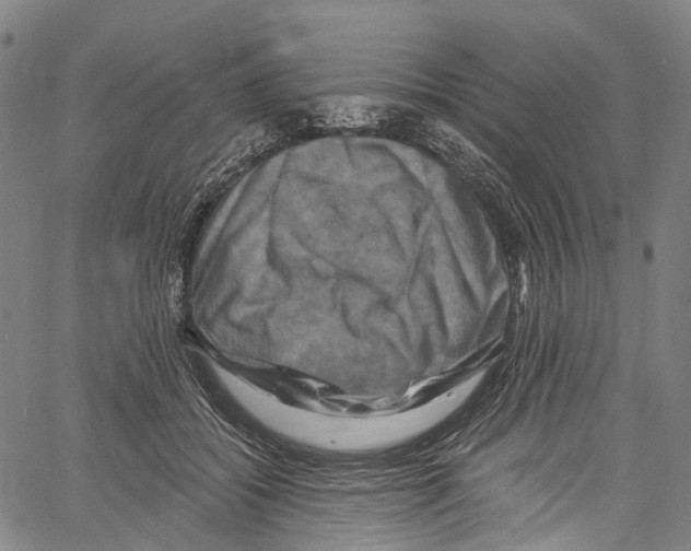 X0000061150556200512161558