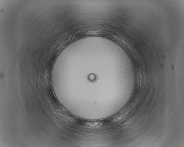 X0000061150557200512161558