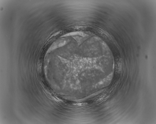 X0000061150558200512161558