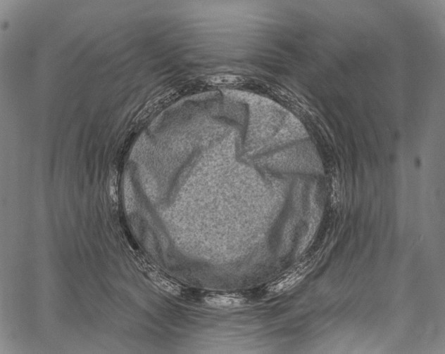 X0000061150561200512161558