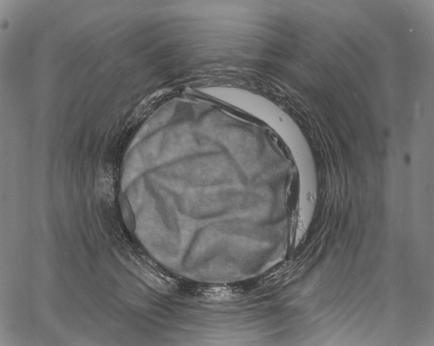 X0000061150562200512161558