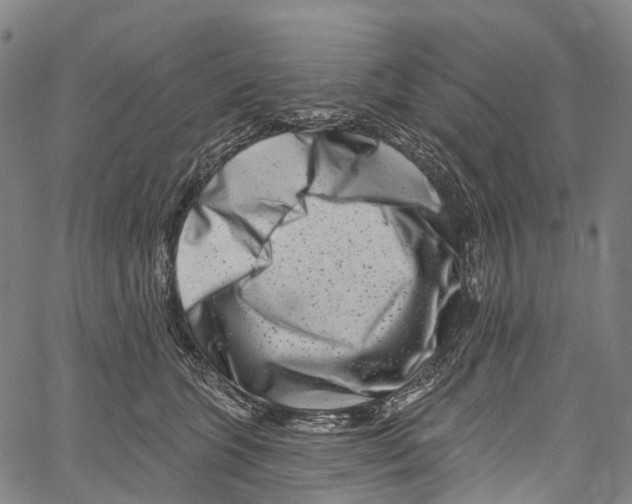 X0000061150563200512161558