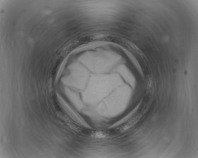 X0000061150565200512161558