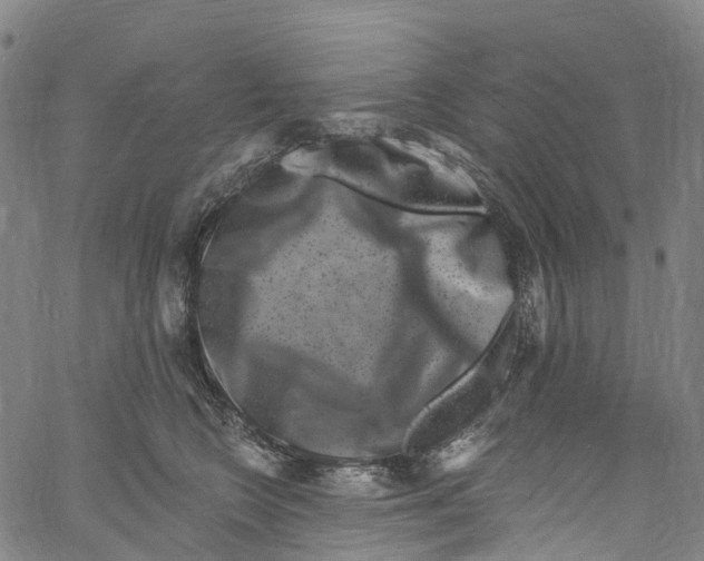 X0000061150566200512161558