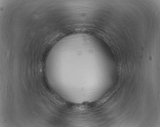 X0000061150567200512161558