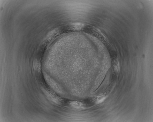 X0000061150568200512161558