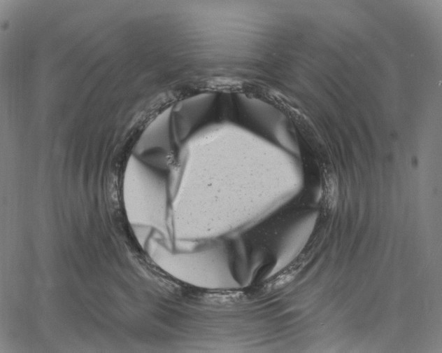 X0000061150571200512161558