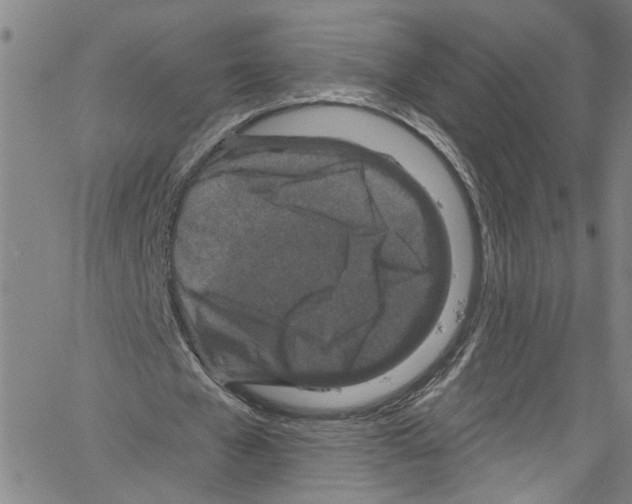 X0000061150577200512161558