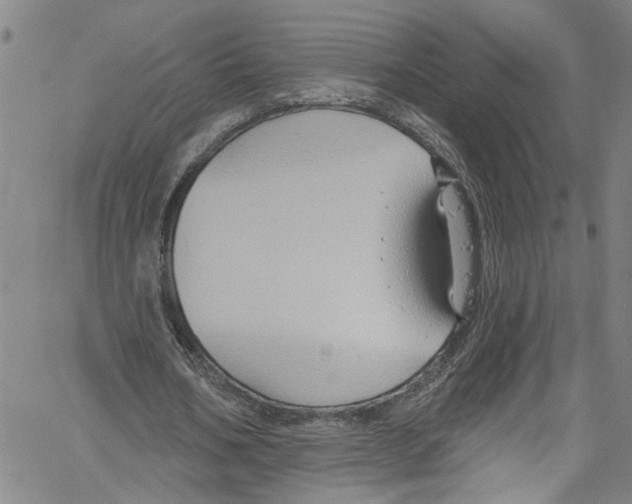 X0000061150578200512161558