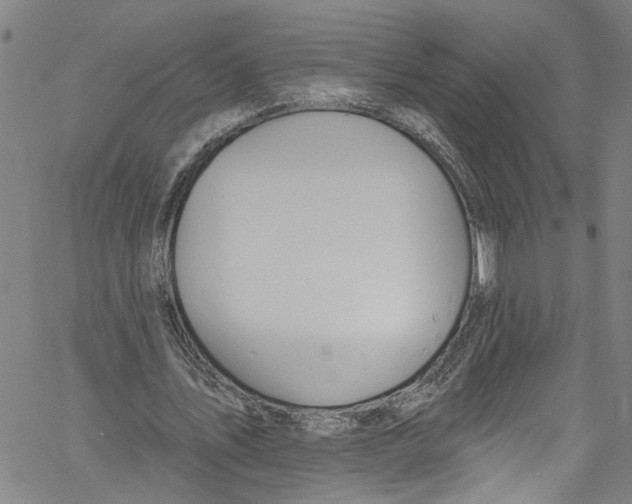 X0000061150579200512161557