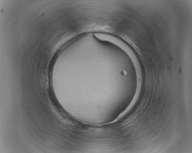 X0000061150582200512161557