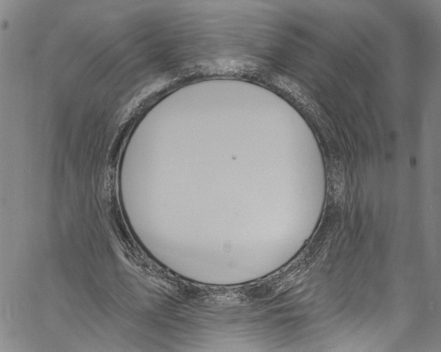 X0000061150583200512161557