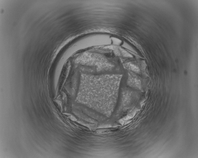 X0000061150584200512161557